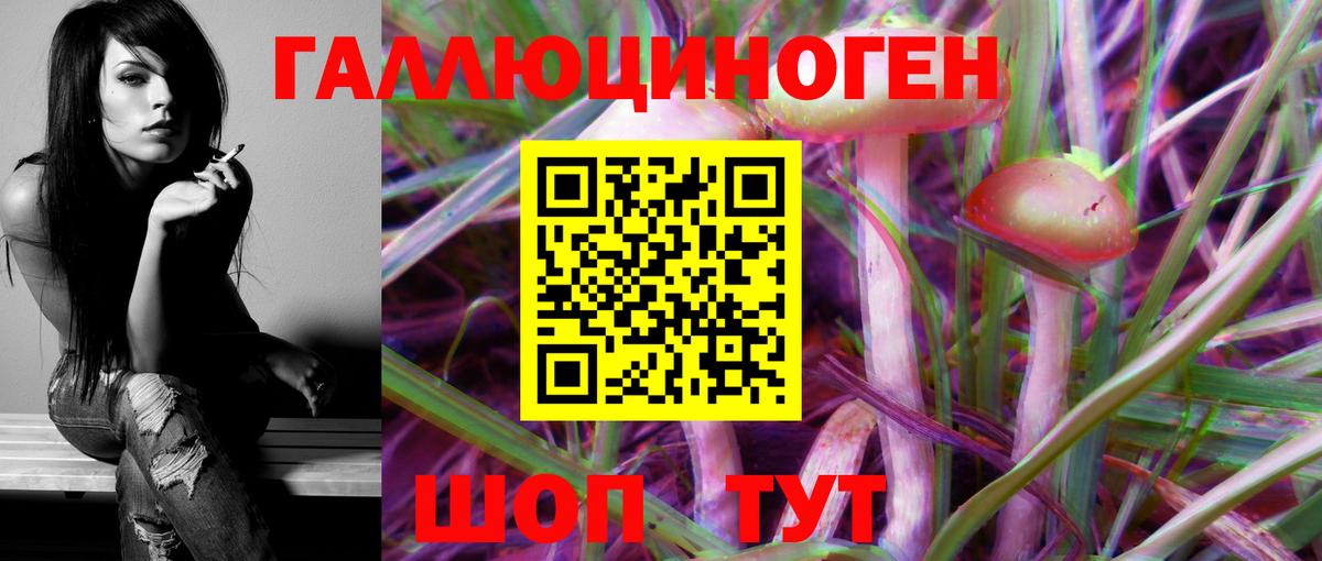 Псилоцибиновые грибы Psilocybine cubensis  Вход с VPN  где купить наркоту  Галлюциногенные грибы мицелий  Юрга 